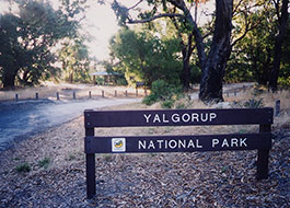 Yalgorup_National_Park-1